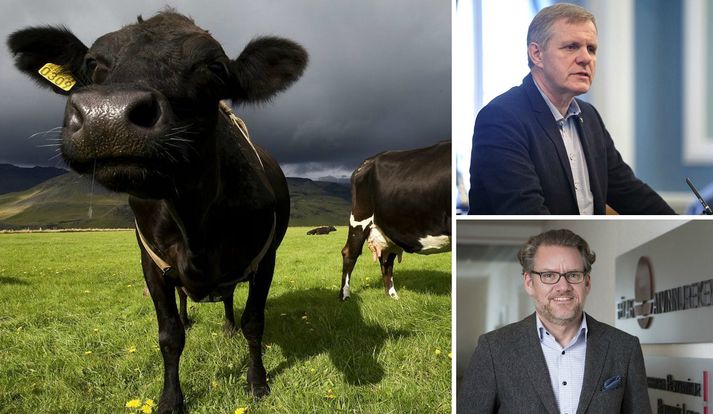 Deilt er um skipan samráðshóps vegna endurskoðunar búvörusamninga.