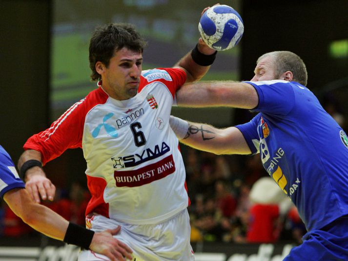 Tamas Mocsai í leik með Íslandi á EM 2008.