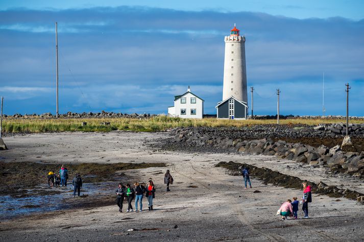 Um er að ræða mikilvægan tíma í fuglalífi staðarins.