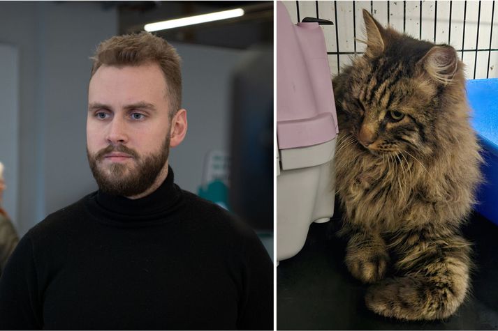 Gunnar Dofri Ólafsson, sviðsstjóri þjónustu- og samskiptasviðs Sorpu. Villikettir telja að kötturinn Gletta hafi mögulega verið föst í gildunni í tvo daga. 
