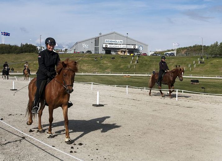 Eitt hross drapst af slysförum í hesthúsi á mótssvæðinu í Víðidal í sumar.