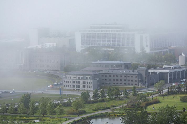 Einn af mörgum hráslagalegum sumardögum í Reykjavík árið 2022.