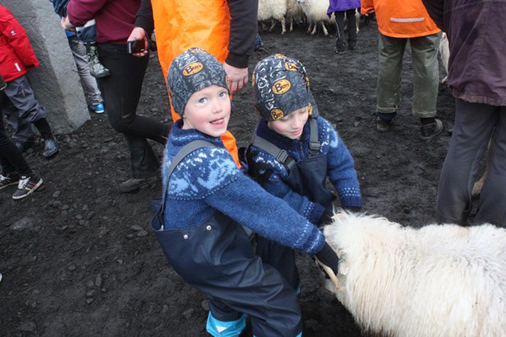 Þessi strákar létu sitt ekki eftir liggja..