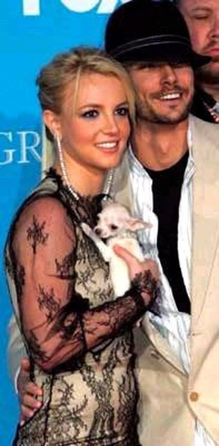 Kevin Federline lítur út fyrir að vera ábyrgt foreldri, annað en fyrrverandi eiginkona hans, Britney Spears.