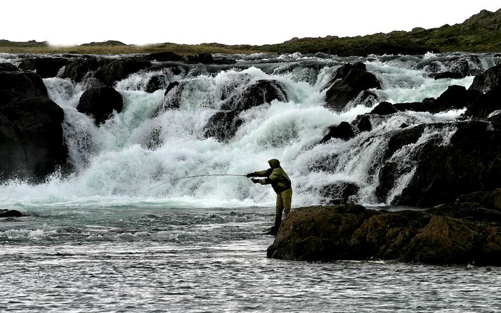 FOSSINN SKUGGI í Langá Um fossinn höfðu gengið um 800 laxar fyrir viku. Veiðin er um 250 laxar.