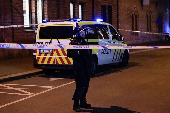 Lögregluþjónar að störfum í Osló. Myndin tengist fréttinni ekki beint.