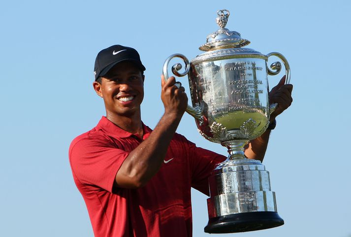 Það stenst enginn Tiger Woods snúning.