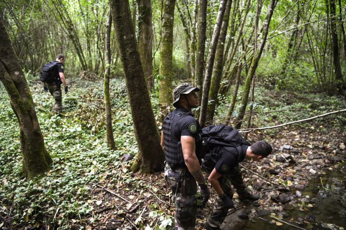 Umfangsmikil leit hefur staðið yfir að Maëlys en hún hefur enn ekki skilað árangri.