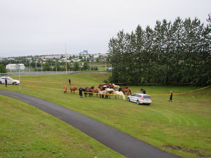 Smalamennskan krafðist töluverðrar útsjónarsemi að sögn lögreglu.