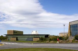 Fréttamynd