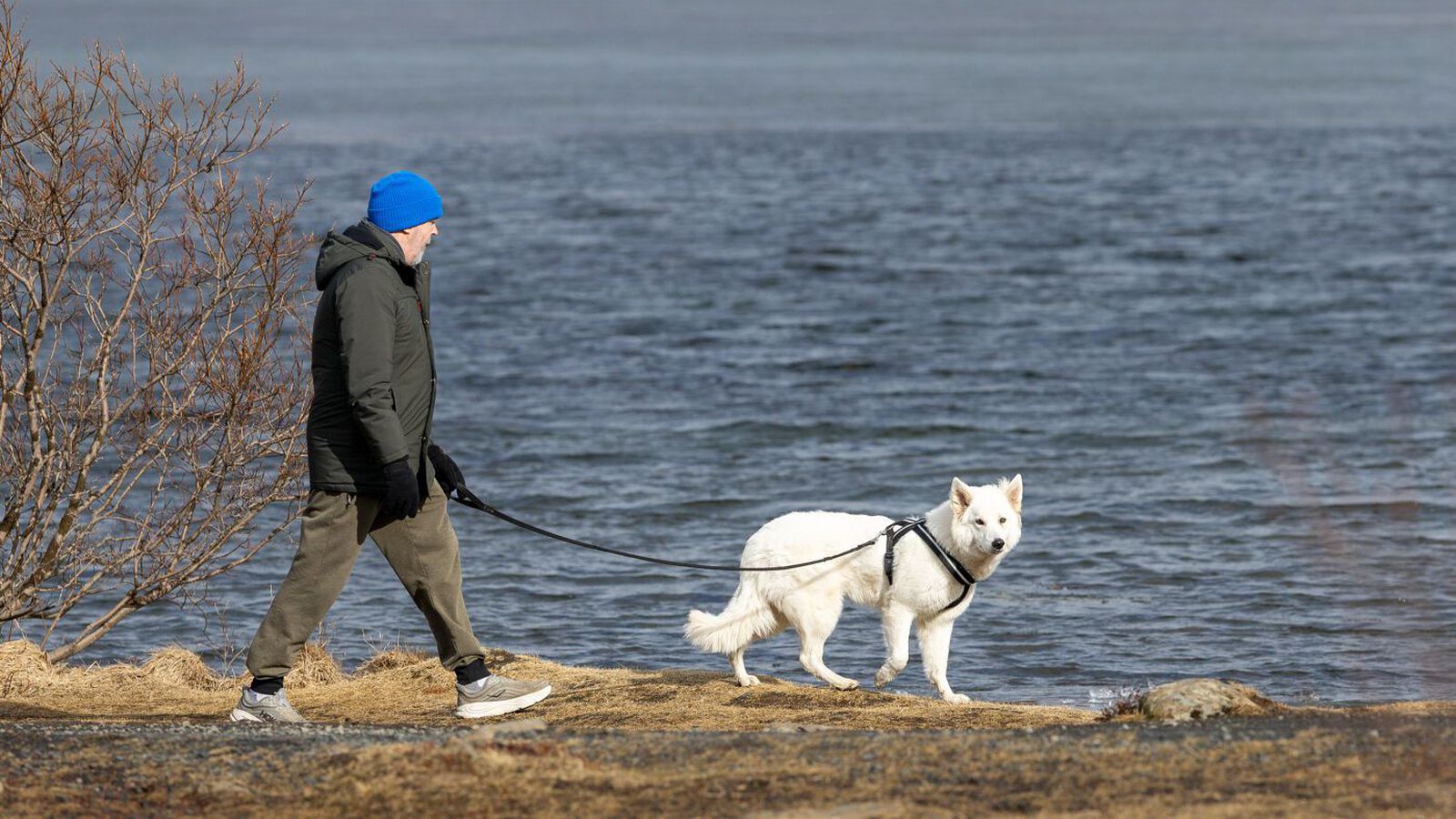 Smá­vegis væta norðan­til en bjart sunnan­til