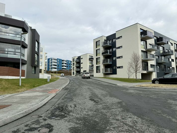 Myndin er tekin við Skógarveg í Fossvogi. 