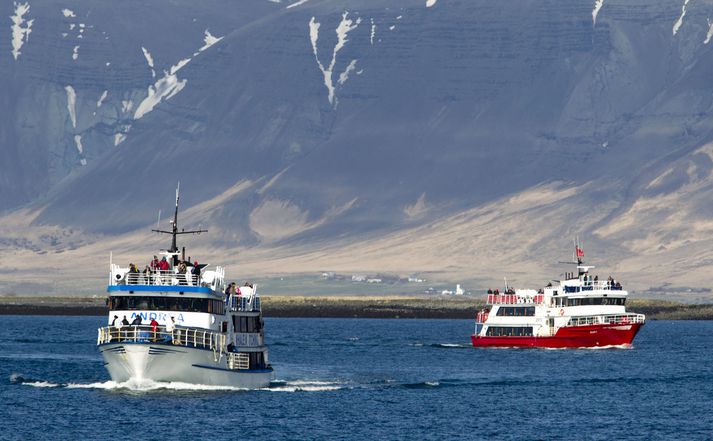 150.000 manns fóru í hvalaskoðun frá Reykjavík í fyrra. 