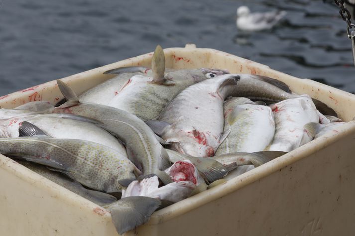 Aukin óvissa um framtíð fiskveiðistjórnunar síðustu ár kann að hafa dregið úr viðskiptum.