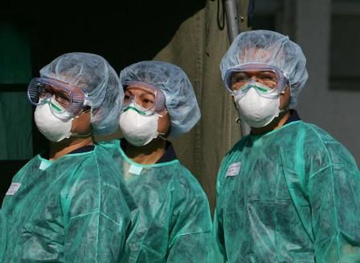 Svínaflensan er í hámarki víða í heiminum.