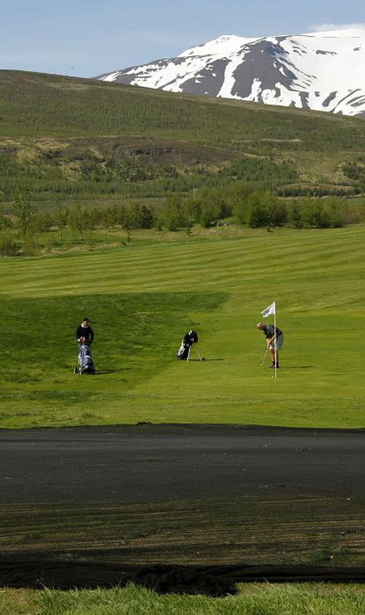 Þrátt fyrir miklar aðgerðir í vetur kom kal í flatirnar á golfvellinum Jaðri á Akureyri. 