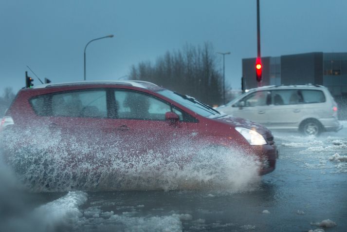 Það er úrkomusamt en nokkuð hlýtt ár að baki.