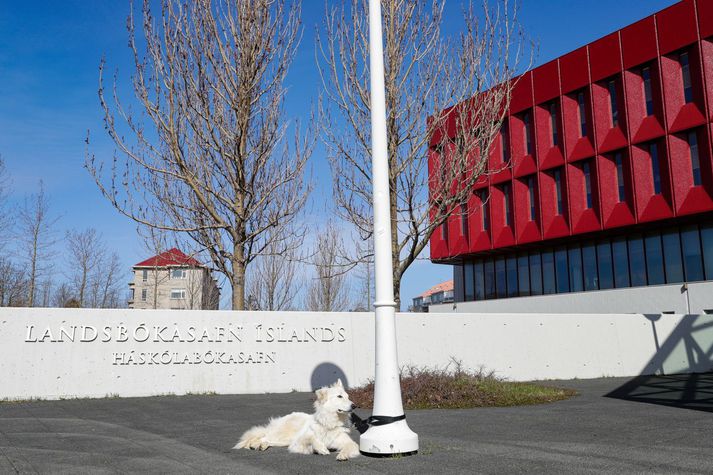 Í auglýsingu segir að landsbókavörður þurfi að búa yfir metnaði og framsýni til að leiða Landsbókasafn Íslands - Háskólabókasafn til framtíðar.
