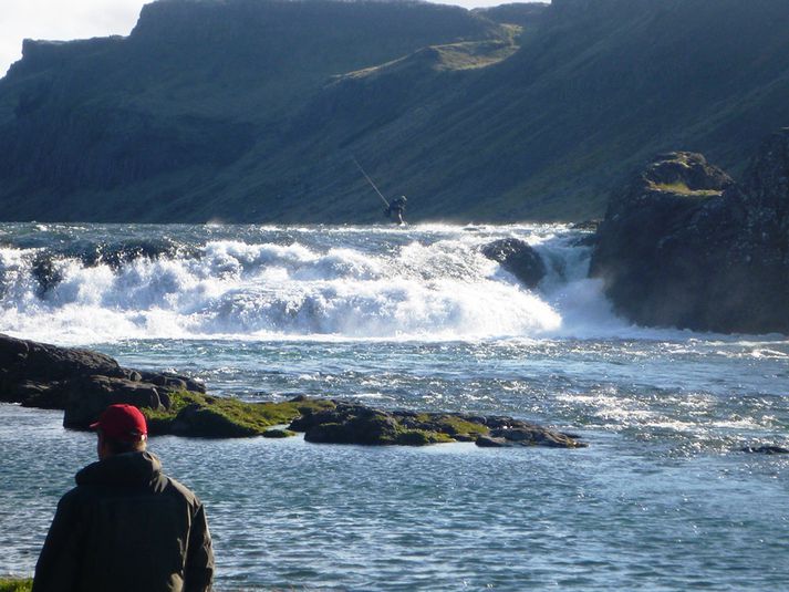 Laxfoss í Norðurá. Í fjarska má sjá veiðimenn vaða ána fyrir ofan foss.