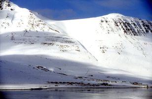 Fréttamynd