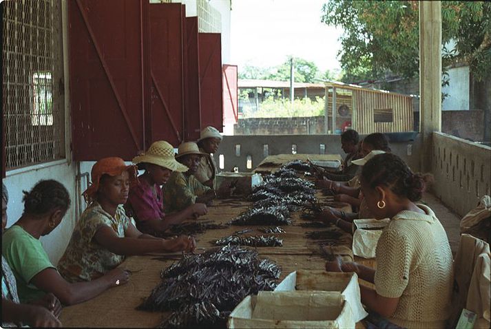 Það getur tekið nokkur ár áður en uppskeran í Madagaskar kemst í samt horf