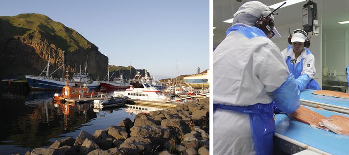Drífandi í Vestmannaeyjum segir alvarlegt að hugmyndir um nánasarlegar launahækkanir komi úr herbúðum verkalýðshreyfingarinnar