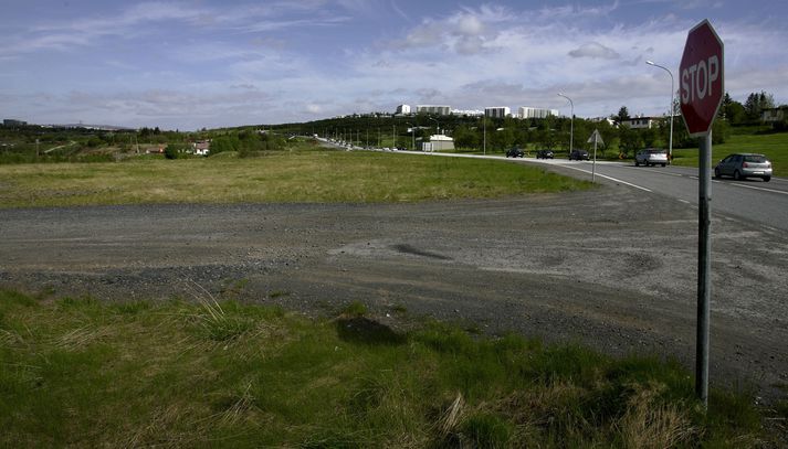 Elliðaárdalur við Stekkjarbakka.