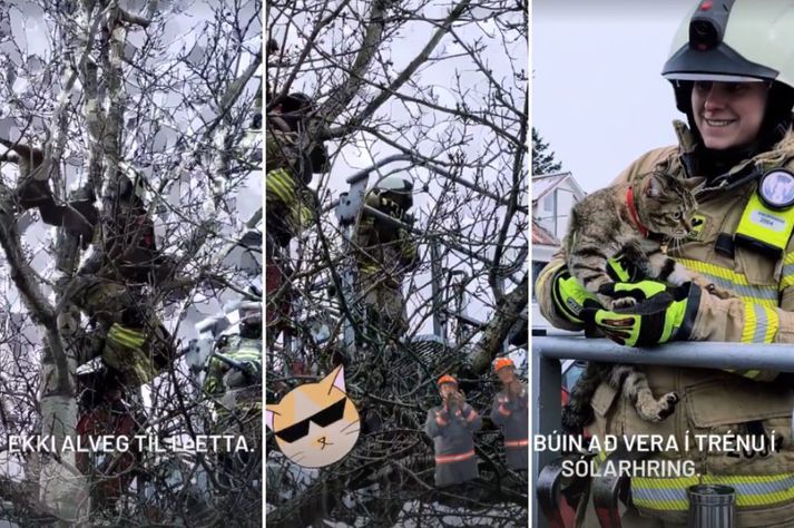 Björgunin gekk upp að lokum. 