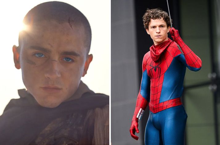 Timothee Chalamet og Tom Holland verða í aðalhlutverkum í Dune: Part Three og Spider-Man: Brand New Day.