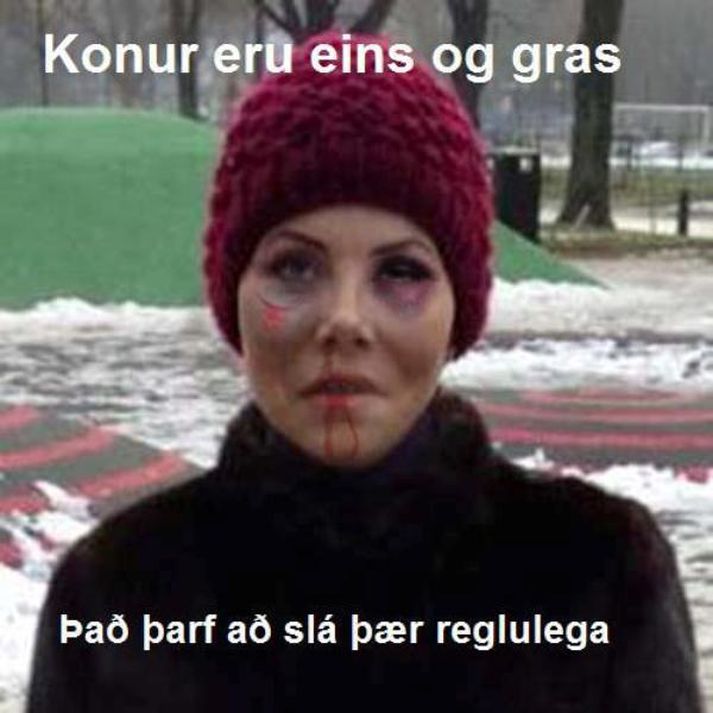 Myndin sem piltarnir breyttu.