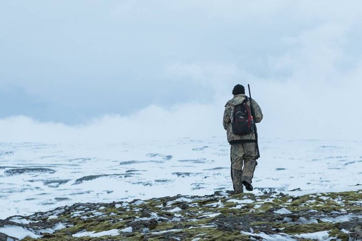 Leyfileg heildarveiði á rjúpum er um 57.000 rjúpur og miðað við fjölda veiðimanna síðasta ár, gera það 5-6 fugla á hvern veiðimann. Sölubann á er rjúpum.