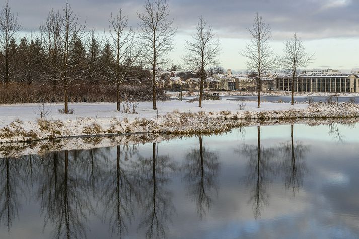 Útkall lögreglunnar í gærkvöldi vegna gruns um heimilisofbeldi var fyrir vestan Tjörnina í Reykjavík.