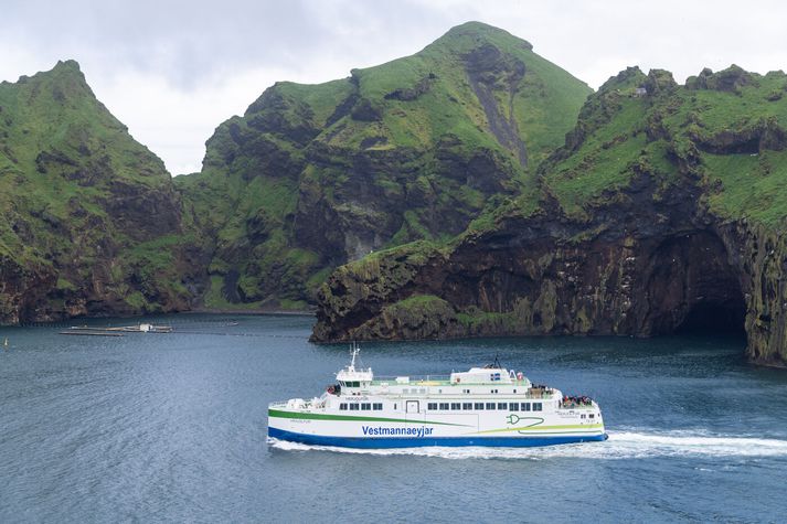 Herjólfur á siglingu við Klettsvík. Skipstjórinn varð ekki varir við skemmtiferðaskipið fyrr en við Klettsnef. 