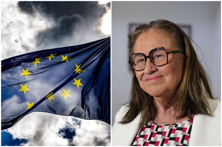 Inga Sæland, formaður Flokks fólksins, segist vilja sjá hvað leynist í pakkanum.