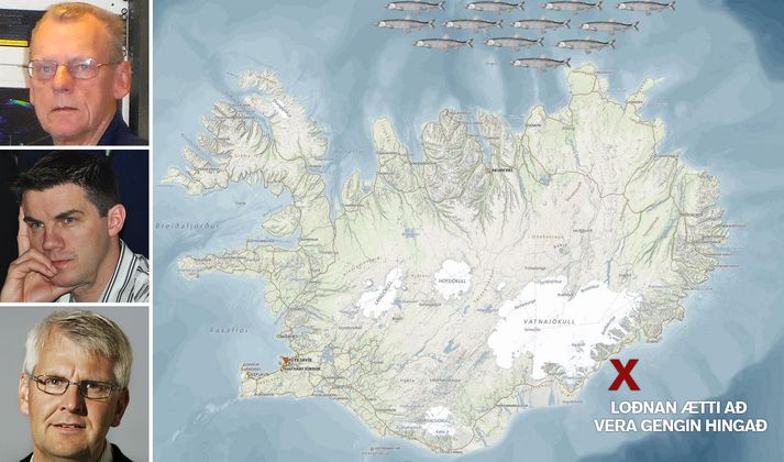 Loðnan er að dóla sér dreifð fyrir norðan en ætti að vera komin suður fyrir land. Fiskifræðingar vita ekki hvað er að gerast, útgerðin er áhyggjufull og veður eru válynd.