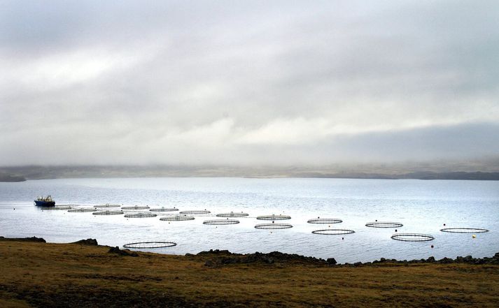 Frá sjókvíaeldi í Berufirði. Stefnt er að því að ákveðin svæði verði skilgreind sem eldissvæði að áhættumati loknu.