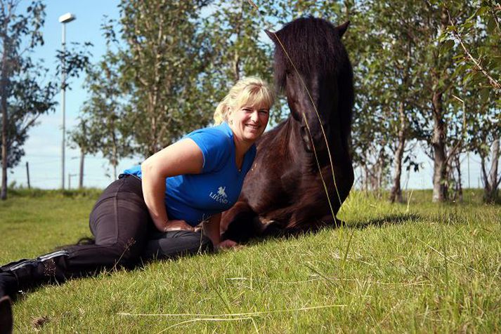 Talsvert umstang er í kringum það að flytja hross til annarra landa allt árið um kring. En svo gefast rólegri stundir inni á milli eins og þessi mynd ber með sér.