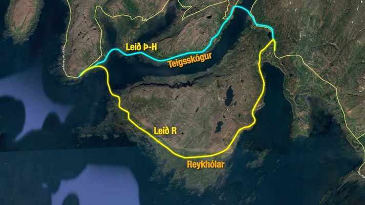 Leið Þ-H færi um Teigsskóg. Leið R færi um Stað og Reykhóla.