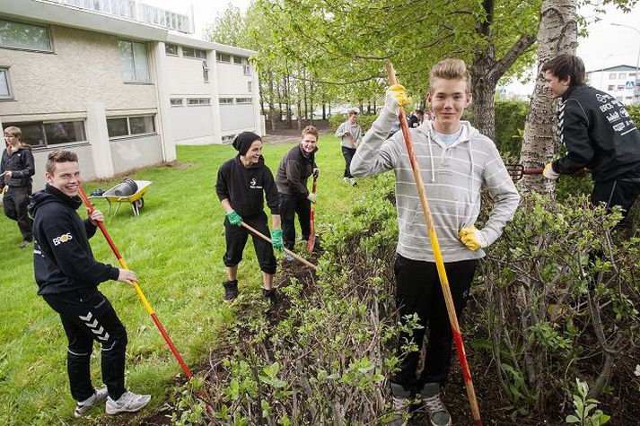 Daníel, Kristján Óli, Ýmir, Benjamín Andri og Arnór Elí eru allir starfsmenn Vinnuskóla Reykjavíkur í sumar. Þeim þykir vinnan skemmtileg og munda hrífurnar af miklum krafti.