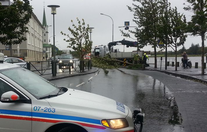 Loka þurfti umferð í skamma stund eftir að ösp rifnaði upp og lagðist yfir aðra akrein Lækjargötu við Fríkirkjuveg.