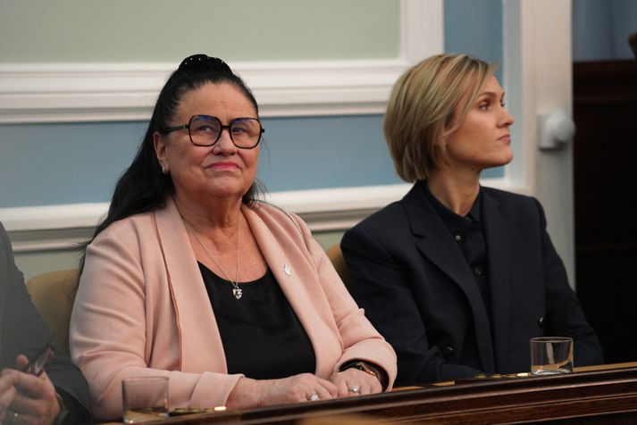 Inga Sæland, félags- og húsnæðismálaráðherra, hyggst beita sér í þeim málum þar sem einstaklingar lenda milli skips og bryggju í fæðingarorlofskerfinu. 