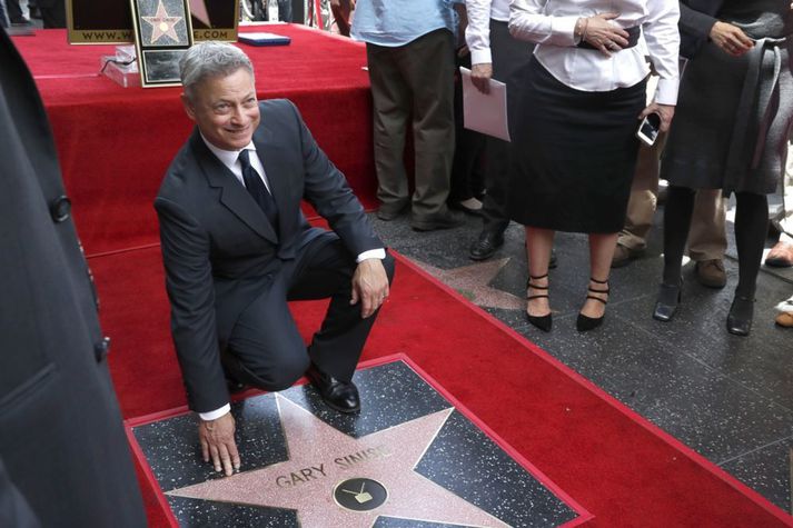 Gary Sinise fór meðal annars með aðalhlutverkið í CIS: New York. 