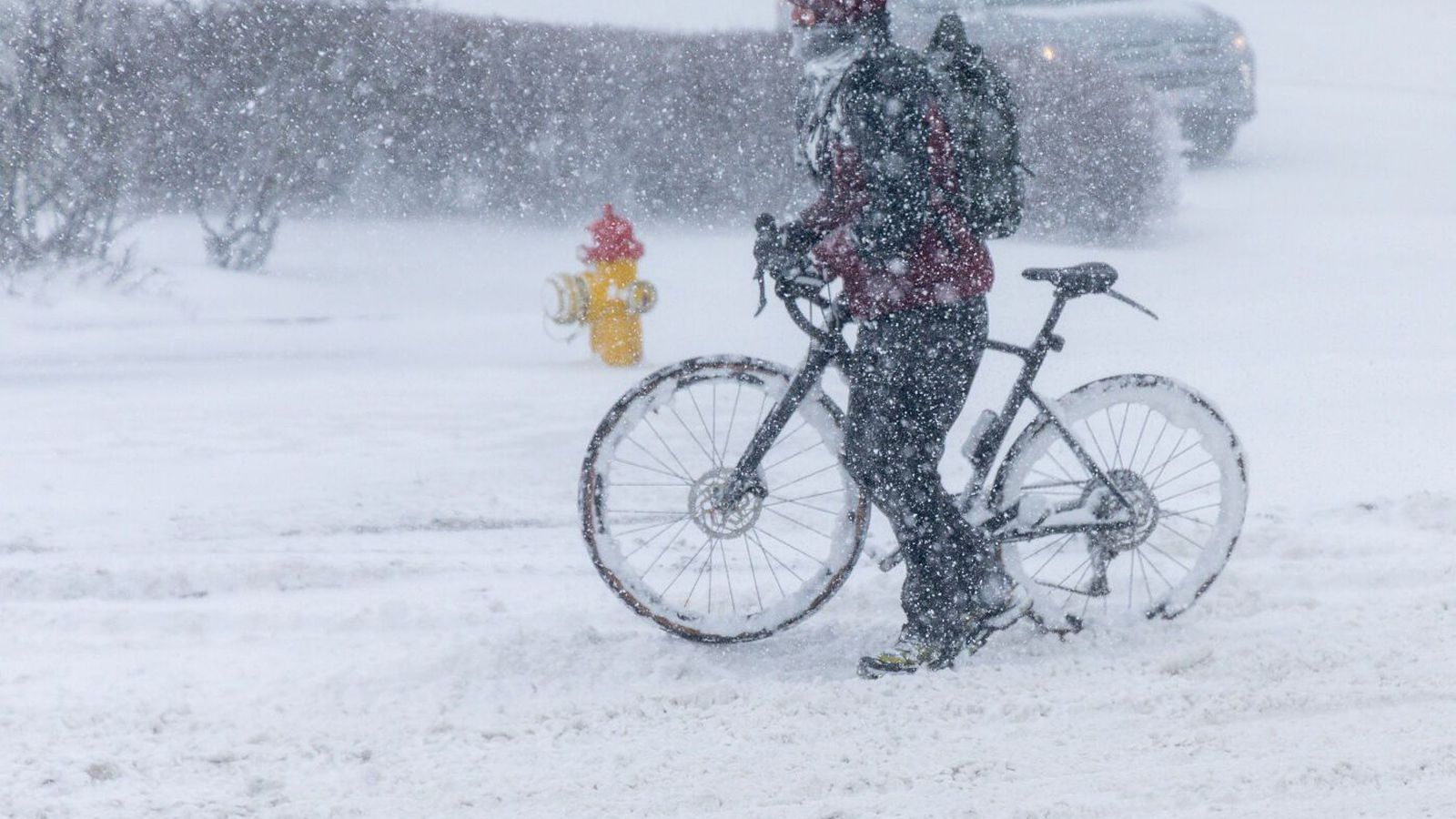 Gular veðurviðvaranir í kortunum