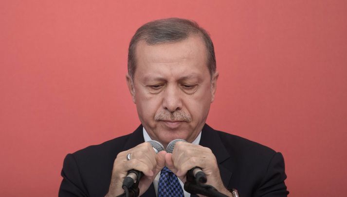Erdogan ætlar að láta til sín taka í Sýrlandi.