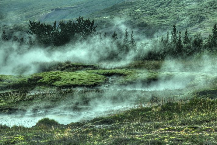 Mennirnir fimm stóðu að kannabisræktun á Suðurlandi. Myndin er tekin í Haukadal en tengist fréttinni að öðru leyti ekki.