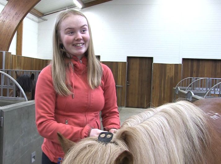 Aníta Rós Kristjánsdóttir, sem hefur meira en nóg að gera að fara á milli hesthúsa og skipta faxi á hestum. Hér er hún að vinna í hesthúsinu í Austurási í Árborg við að skipta faxinu á merinni Kröflu.