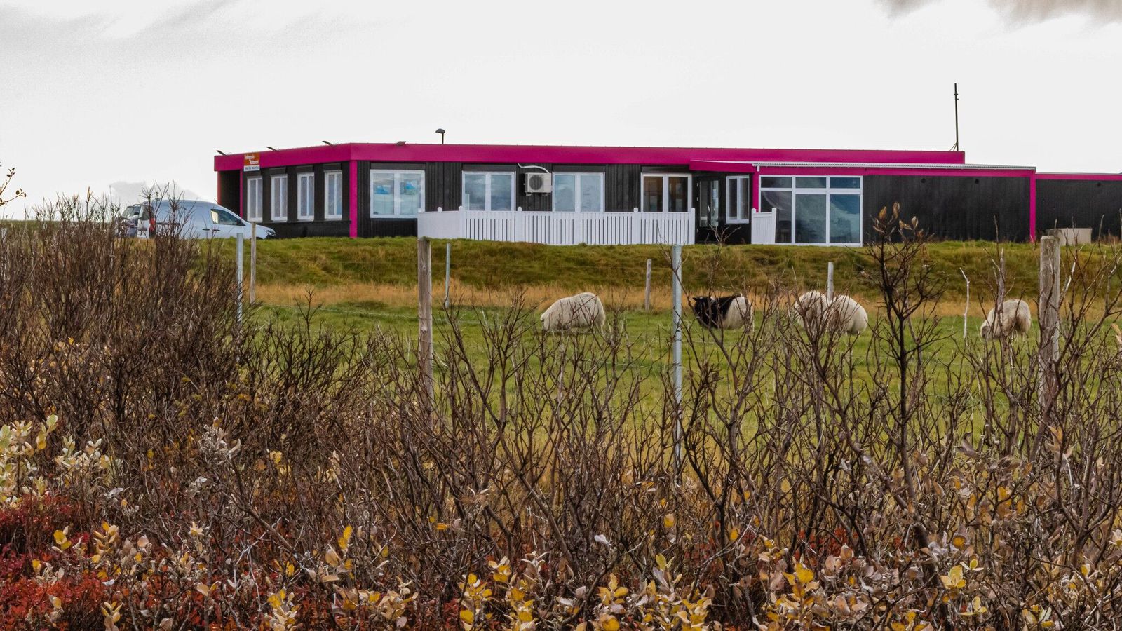 Stór hópur ferða­manna lét greipar sópa skipu­lega um sölu­skála