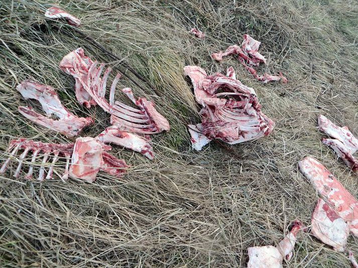 Þessi frágangur þykir ekki til fyrirmyndar.