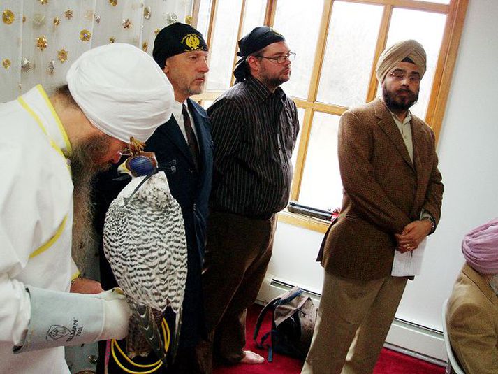 Mynd tekin í sikhahofi í New Jersey 2006. Á myndinni eru frá vinstri: Hari Har Singh, fálkari og fyrrverandi fálkaþjálfari fyrir Íranskeisara og aðra pólitíska leiðtoga Mið-Austurlanda, Ginghas, hvítur Grænlandsfálki, dr. David Ellis, fuglafræðingur og ránfuglasérfræðingur, Örn Marinó Arnarson, leikstjóri og framleiðandi, og dr. Hamram Singh, viðskiptajöfur og rithöfundur.