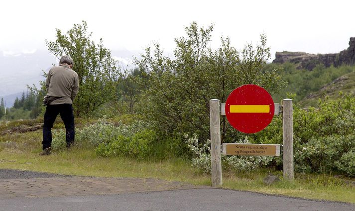 Bygging salerna er meðal þeirra mála sem bíða nýrrar nefndar. Hefði komið að góðum notum þegar þessi herramaður var á ferð.